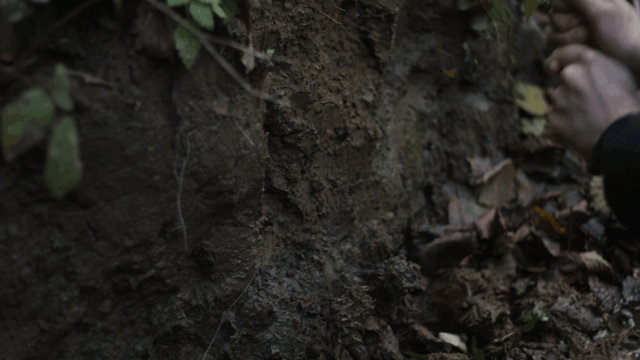 Featuring Heike Reneé de Wit and Luigi Pullini [with Robida]